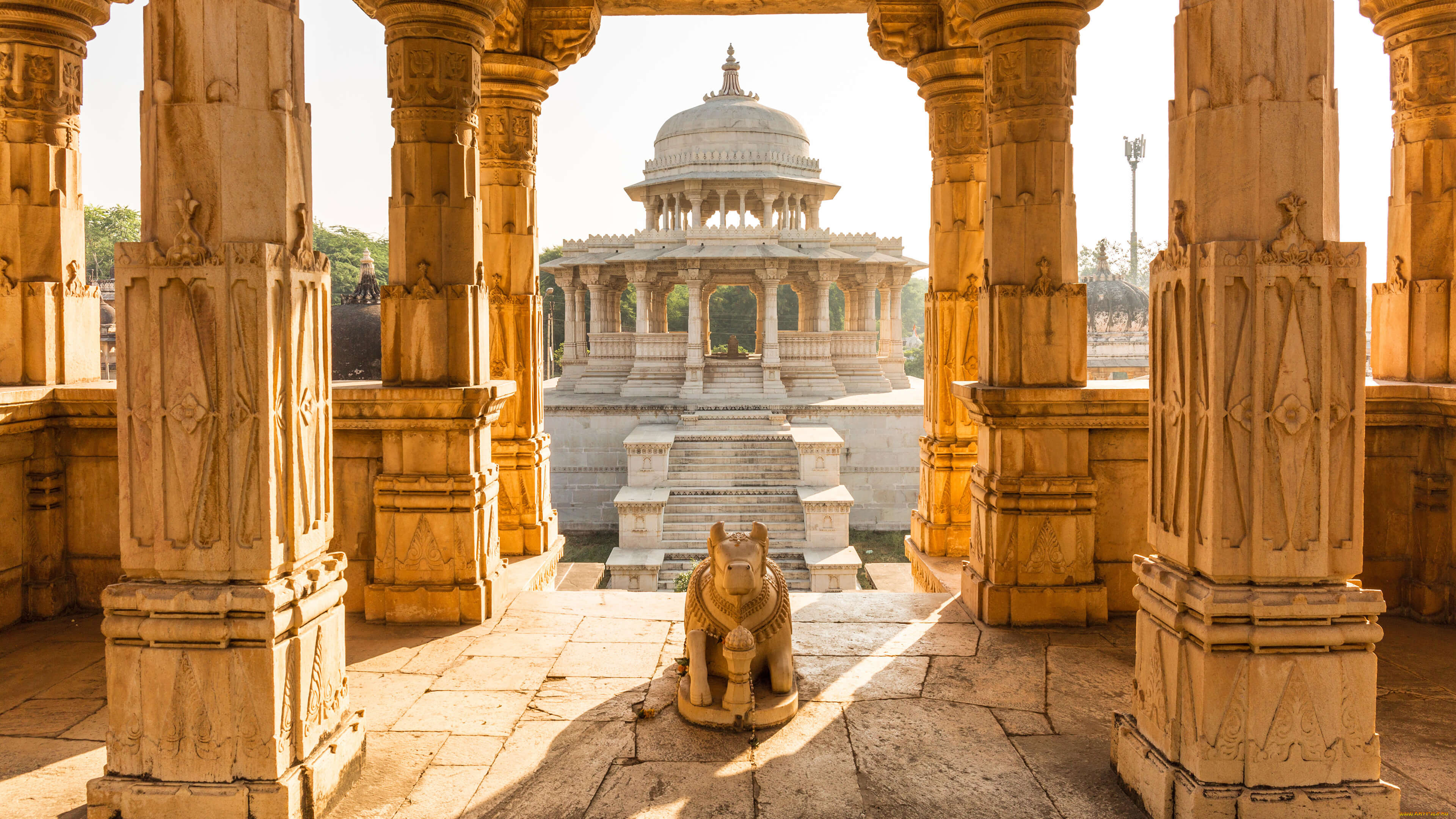 , -    , , , , udaipur, , , by, ronny, werner, alamy, stock, hoto